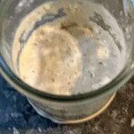 Top down view of an active bubbly sourdough starter in a Weck jar ready to be fed