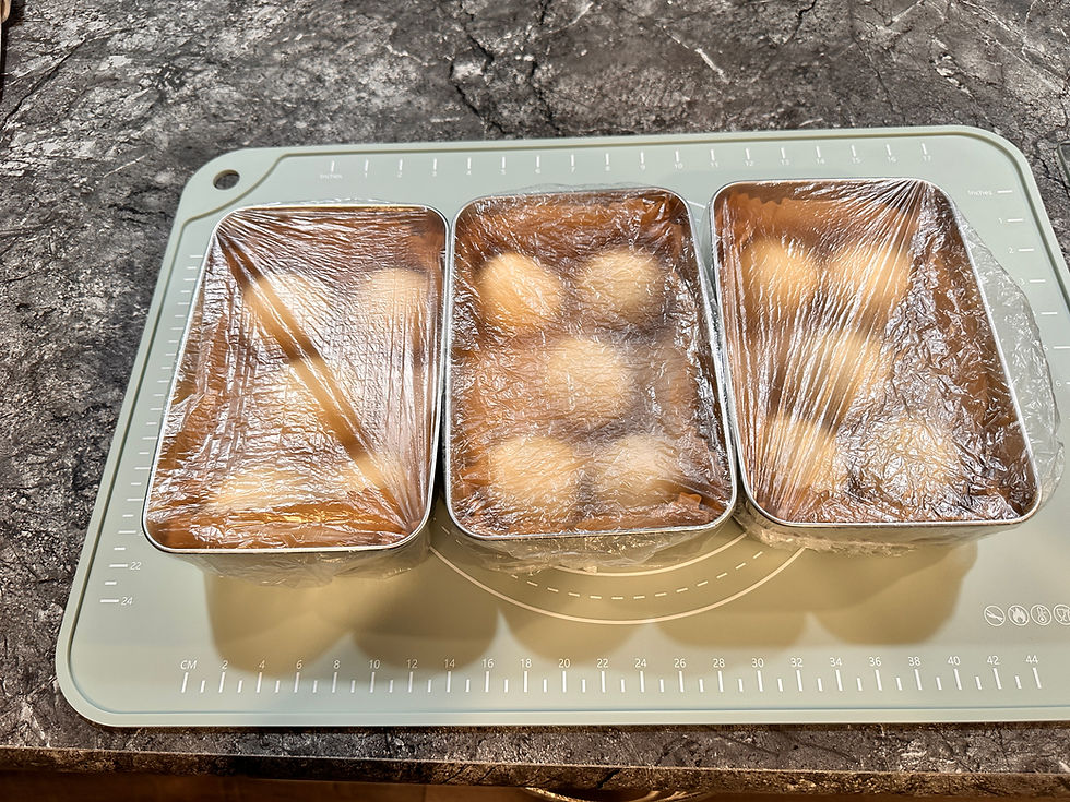 Three stainless steel loaf pans covered in plastic wrap with sourdough dough balls inside for the second rise