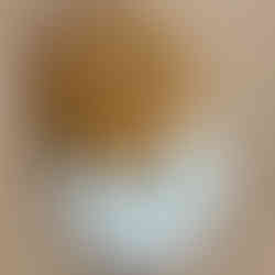 Sourdough bagel sliced open with cream cheese spread on one half