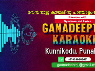 വേമ്പനാട്ട് കായലിന് ചാഞ്ചാട്ടം - cover AI