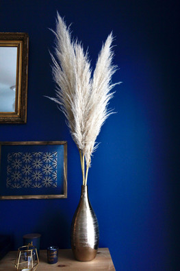 Décoration herbes de la pampa