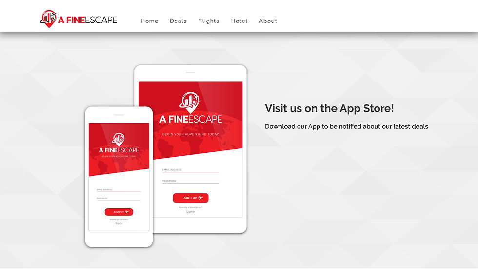 A Fine Escape computer wireframe-03.jpg