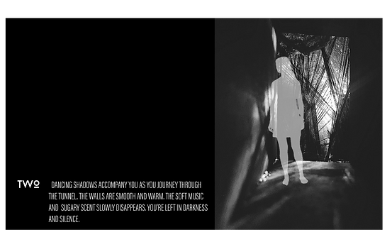 ENTANGLEMENT6.png