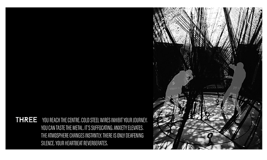 ENTANGLEMENT7.png