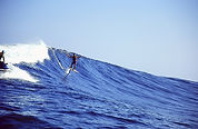 Mango foil surfing 2002 Maui.jpeg