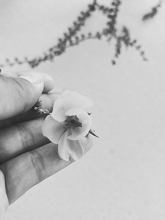 uma flor na mão