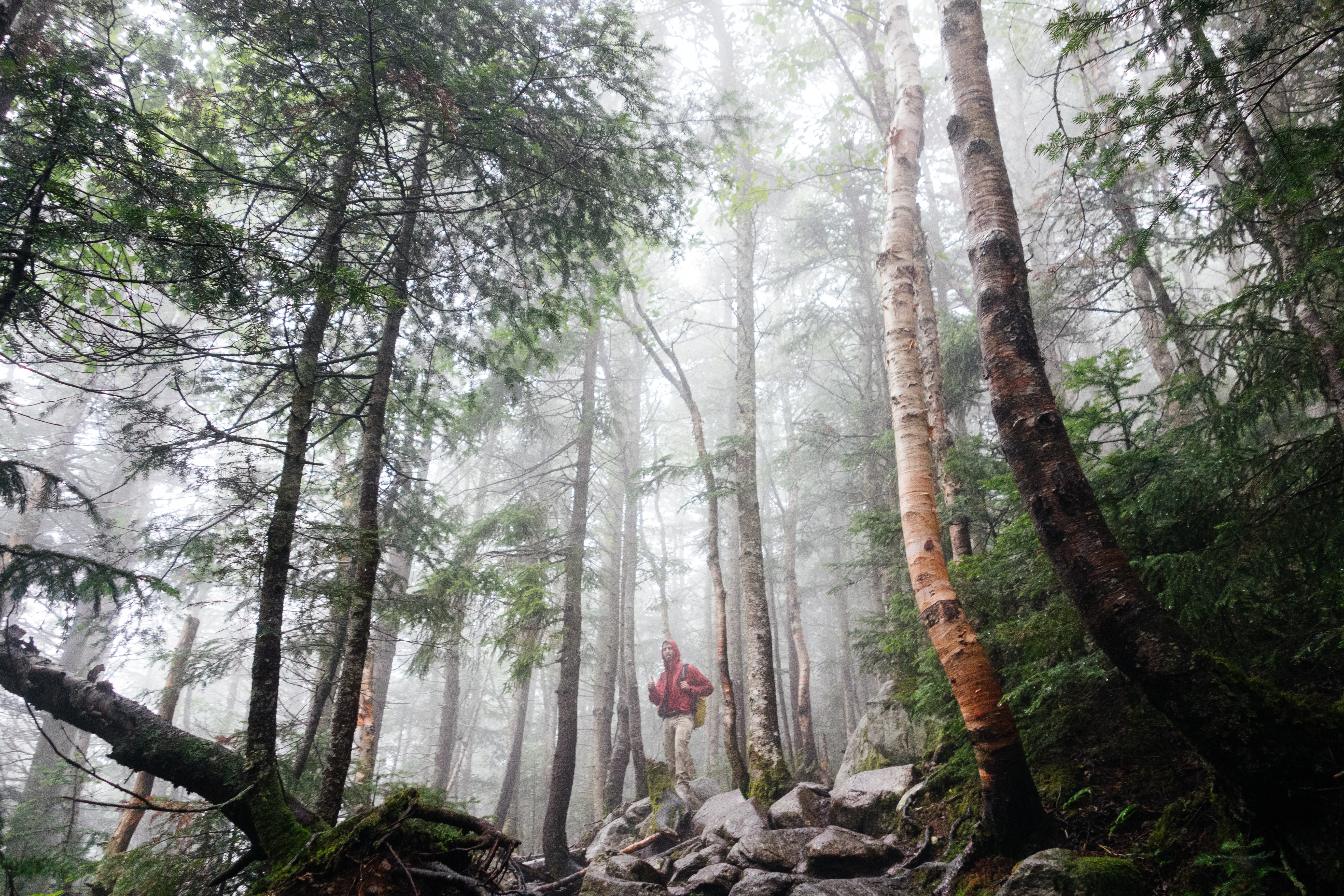 5 Environmentally Friendly Degrees