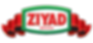 Zyad Logo