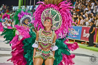 Carnival parade 2014