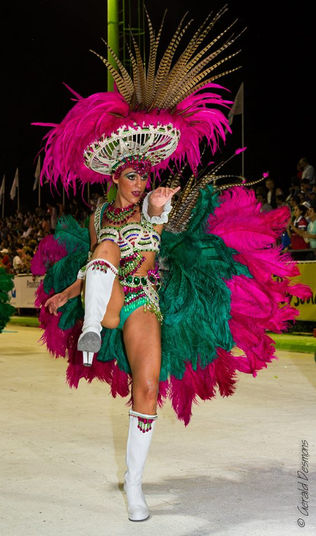 Carnival parade 2014