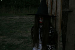 IMG_4155 (Копировать)