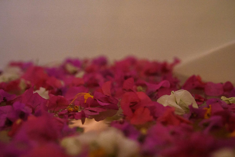 photographie-seance-photo-reportage-lifestyle-domicile-maternite-grossesse-famille-mariage