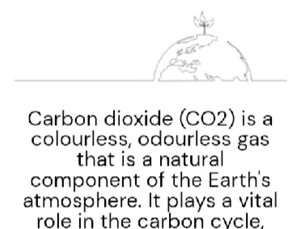 PART 1: Can chickpeas help you lose weight?