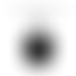 Why a Market-Oriented & Segmented Economy Matters