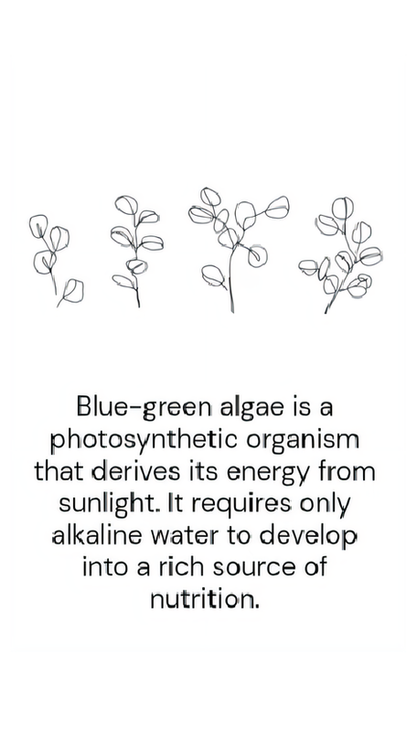 PART 1: Could spirulina represent a significant breakthrough for the vegan economy?