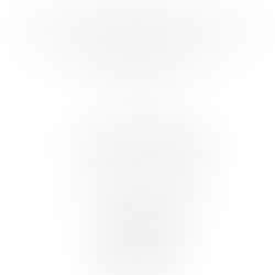 Champion the call for freedom—fundamental rights and true independence belong to everyone.