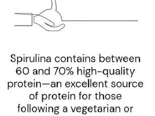 PART 8: Could spirulina represent a significant breakthrough for the vegan economy?