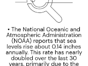 PART 5: Can chickpeas help you lose weight?