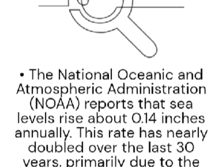 PART 5: Can chickpeas help you lose weight?