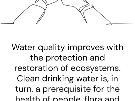 PART 4: How does protecting nature improve our health and happiness?