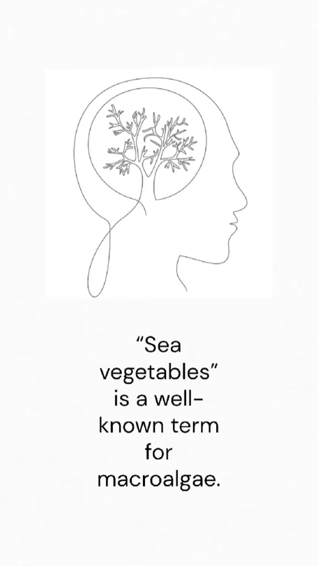 PART 8: How can algae use CO2 for industrial purposes?
