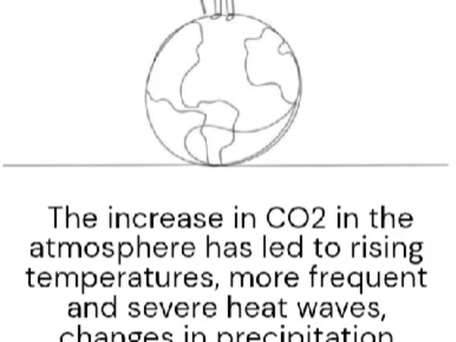 PART 2: Can chickpeas help you lose weight?