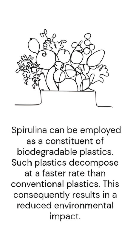 PART 5: Could spirulina represent a significant breakthrough for the vegan economy?
