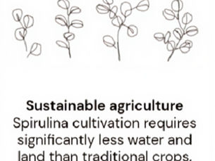 PART 2: Could spirulina represent a significant breakthrough for the vegan economy?