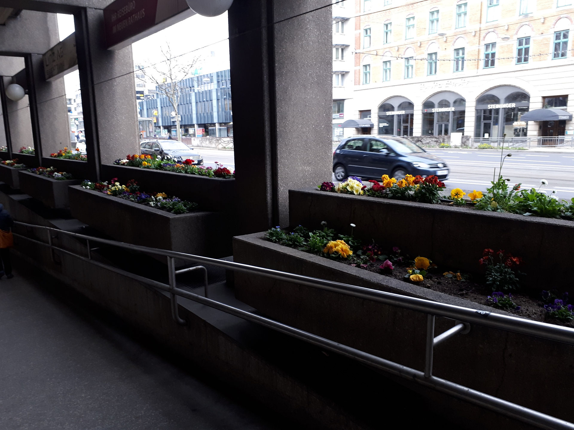 Überall so viele Blumen in Linz!