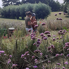 Ouder-kind workshop met bloemen en creativiteit