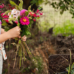 yoga workshop en bloemen plukken in de bloementuin in denderleeuw