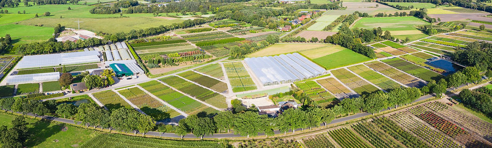 Panorama Flächenbild kleiner_edited.jpg