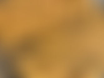 The Best Pumpkin Chocolate Chip Cookies Ever