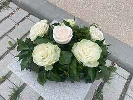 IMG_0474.jpeg