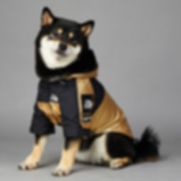 UrbanBark™ - Premium Golden Streetwear Dog Raincoat