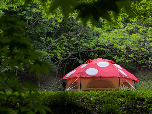 DoD MINI KINOKO TENT RED ミニキノコテント | CAMP STUDIO STORE