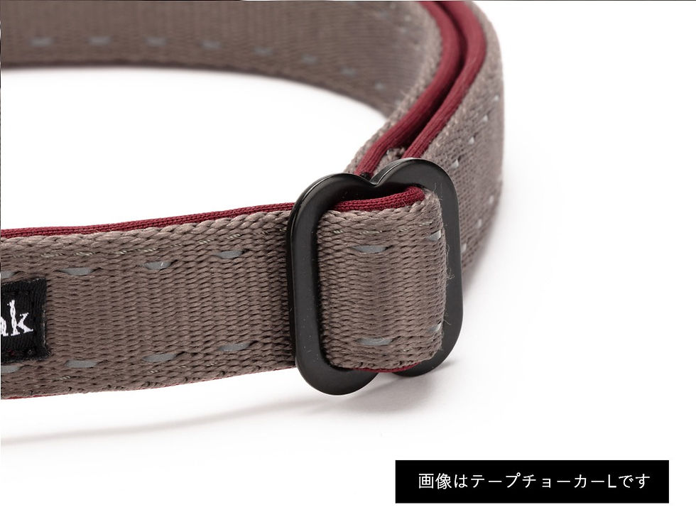 ภาพขนาดย่อ: SP Tape Choker L