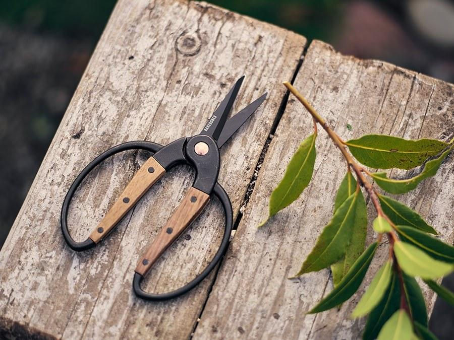 섬네일: Barebones Small Scissors - Walnut