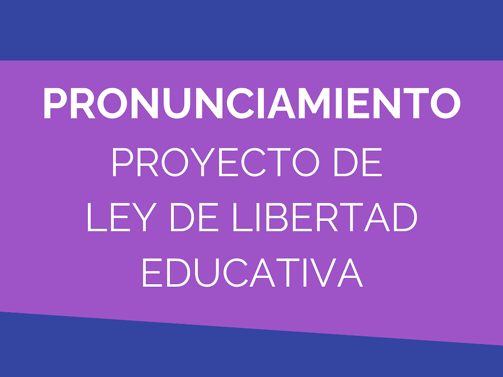 Pronunciamiento de la SAIE sobre el proyecto de Ley de Libertad Educativa 