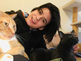 Work, cook, walks, cats and ART - the versatile Claire Micklin