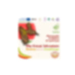 "The Great Adventure -Madeira meets Guadeloupe" photo exhibition and art installation