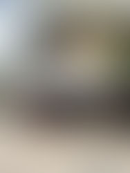 Vintage Vibes: Exploring Málaga's Creative Underground with REcolour.Anti-voque