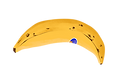 Ilustração-Sem-Título.png