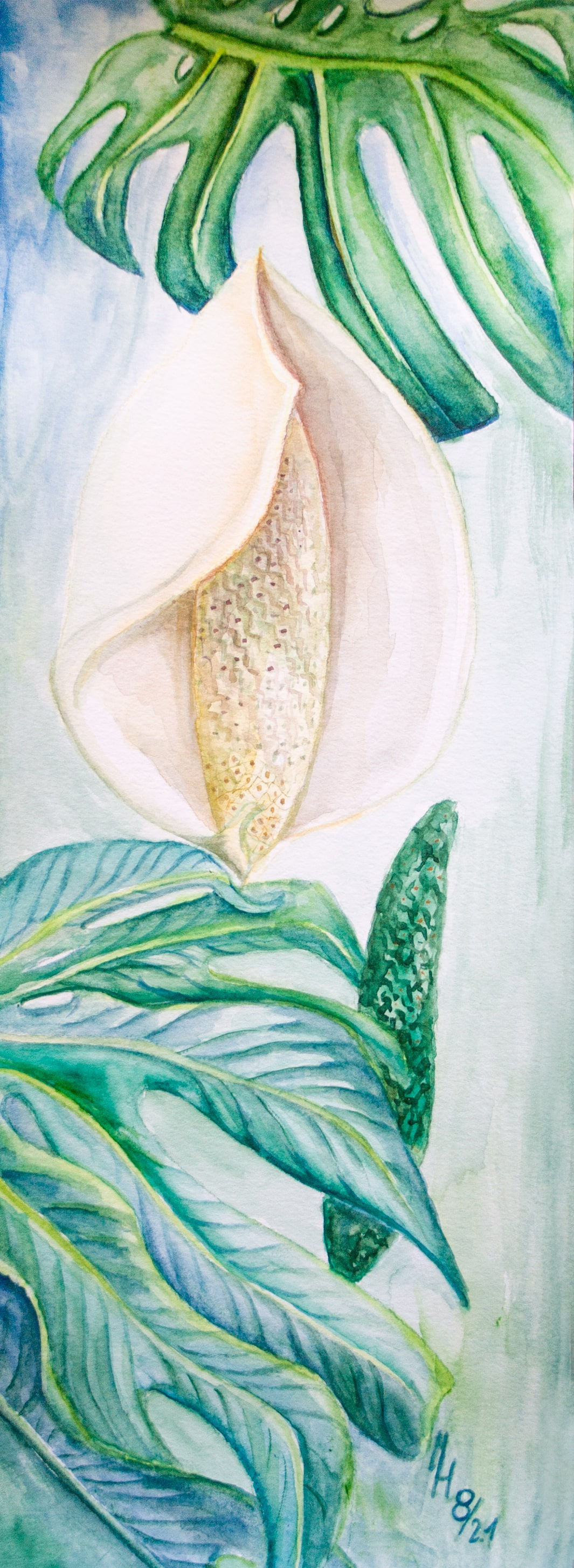 Marta Horodniczy.MONSTERA