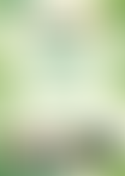 Open Call for Polish Volunteers