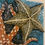 Thumbnail: Portuguese tile. Azulejos. Starfish