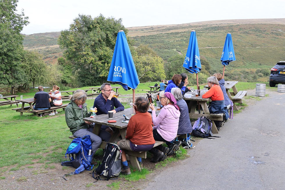The Tors Inn