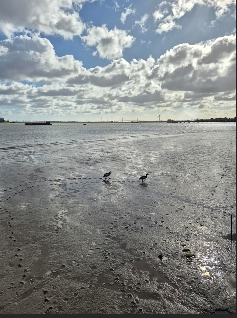 Green Chain Walk from Erith to Charlton (March 2026)