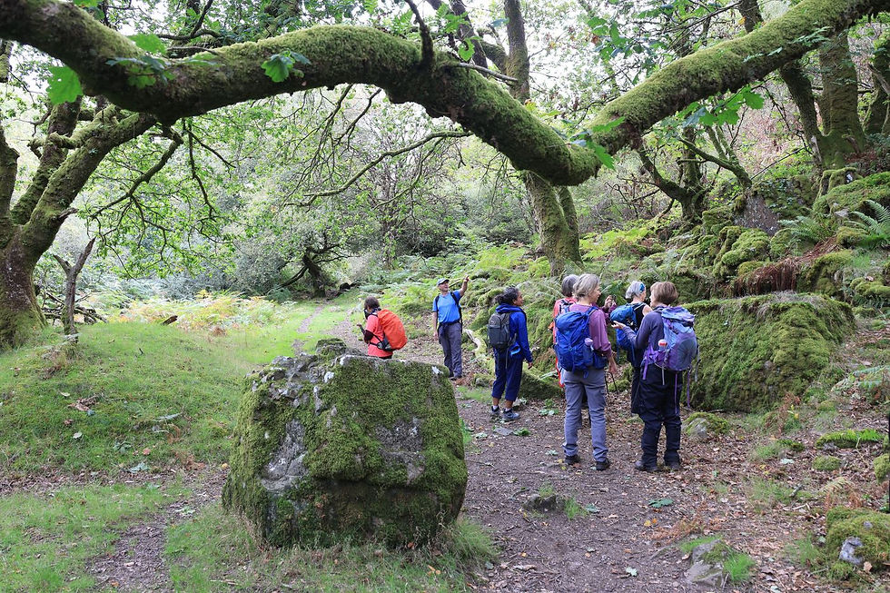 Belstone Cleave