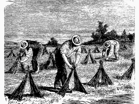 Agricultural Labourers - Part one